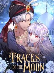 Traces of the Moon