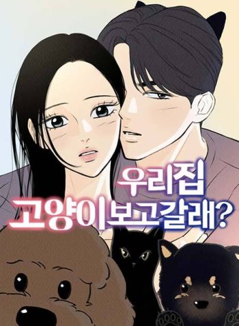 우리 집 고양이 보고 갈래