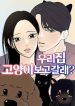 우리 집 고양이 보고 갈래