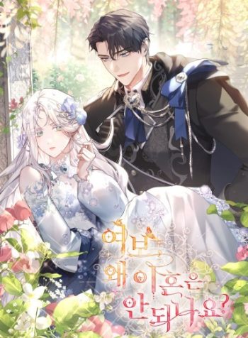 Honey, Why Can’t We Get a Divorce